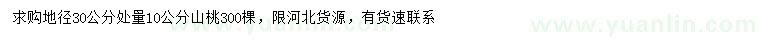 求购地径30公分处量10公分山桃