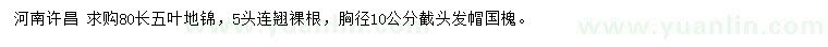 求购五叶地锦、连翘、国槐