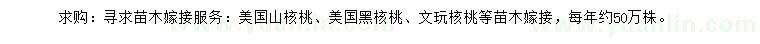 求购美国山核桃、美国黑核桃、文玩核桃