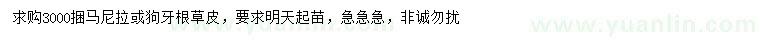 求购马尼拉、狗牙根草皮