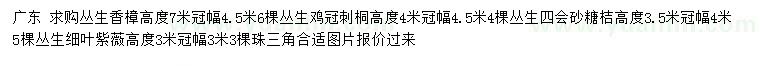 求购丛生香樟、丛生鸡冠刺桐、丛生四会砂糖桔等