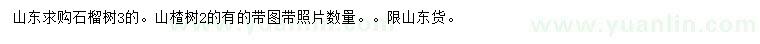 求购3公分石榴树、2公分山楂树