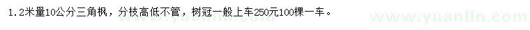 求购1.2米量10公分三角枫