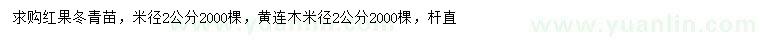 求购米径2公分红果冬青苗、黄连木