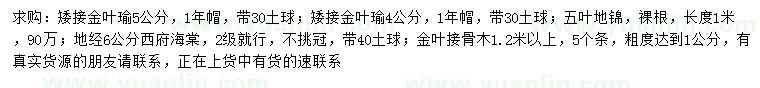 求购矮接金叶榆、五叶地锦、西府海棠等