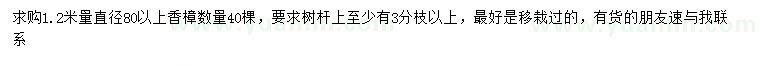 求购1.2米量直径80公分以上香樟