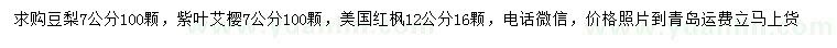 求购豆梨、紫叶艾樱、美国红枫