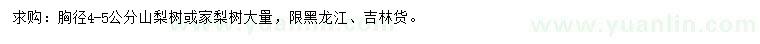 求购胸径4-5公分山梨树、家梨树