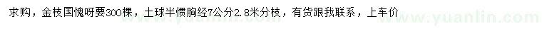 求购胸径7公分金枝国槐