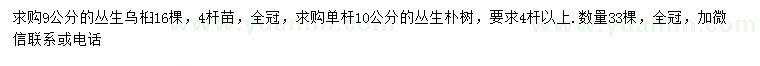 求购9公分丛生乌桕、10公分丛生朴树