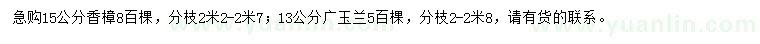 求购15公分香樟、13公分广玉兰