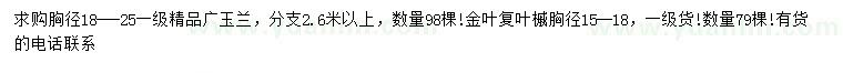 求购胸径18-25广玉兰、15-18公分金叶复叶槭