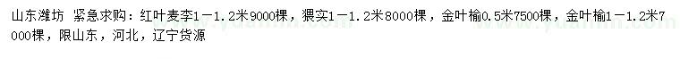 求购红叶麦李、猥实、金叶榆