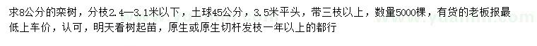 求购8公分栾树