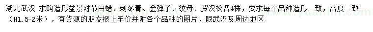 求购对节白蜡、刺冬青、金弹子等