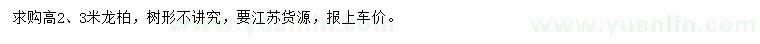 求购高2、3米龙柏