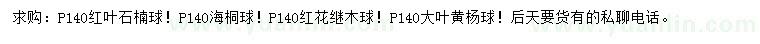 求购红叶石楠球、海桐球、红花继木球等