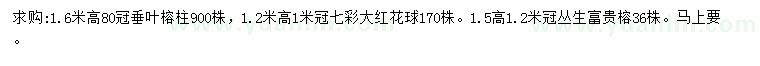 求购垂叶榕柱、七彩大红花球、丛生富贵榕