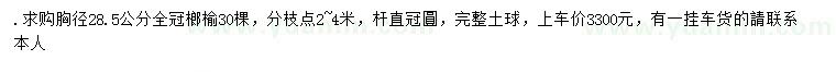 求购胸径28.5公分全冠榔榆