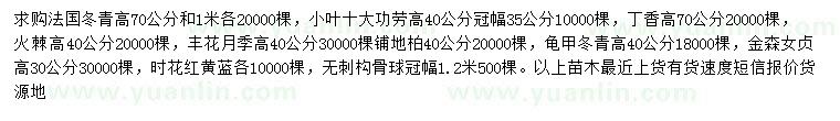 求购法国冬青、小叶十大功劳、丁香等