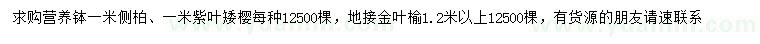 求购侧柏、紫叶矮樱、地接金叶榆