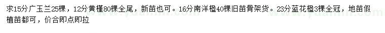 求购广玉兰、黄槿、南洋楹