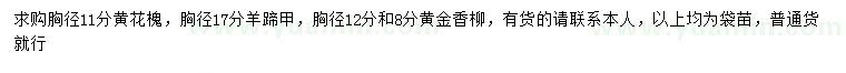 求购黄花槐、羊蹄甲、黄金香柳