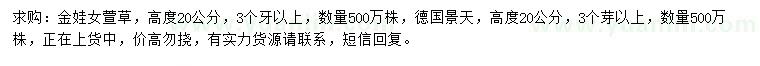 求购高20公分金娃女萱草、德国景天