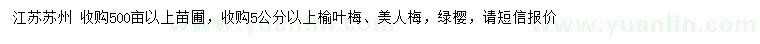 求购榆叶梅、美人梅、绿樱