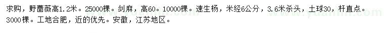 求购野蔷薇、剑麻、速生杨