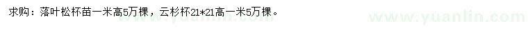 求购高1米落叶松、云杉