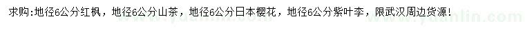 求购红枫、山茶、日本樱花等