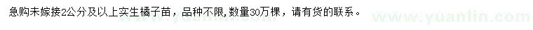 求购2公分及以上实生橘子苗