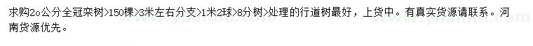 求购20公分全冠栾树