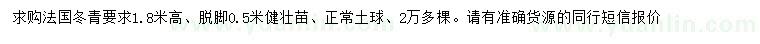 求购高1.8米法国冬青