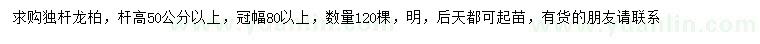 求购杆高50公分以上独杆龙柏