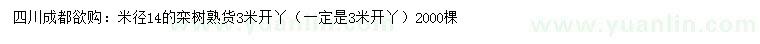 求购米径14公分栾树