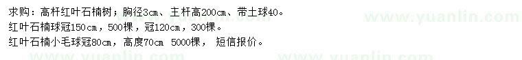 求购高杆红叶石楠树、红叶石楠球、红叶石楠小毛球