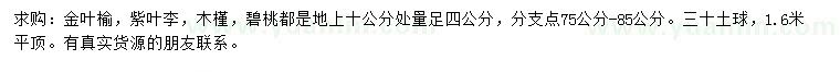 求购金叶榆、紫叶李、木槿等