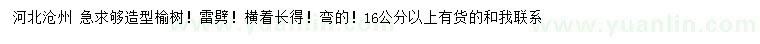 求购16公分以上造型榆树