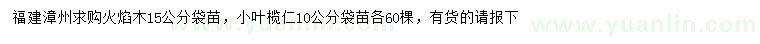 求购15公分火焰木袋苗、10公分小叶榄仁袋苗