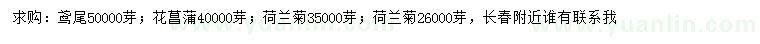 求购鸢尾、花菖蒲、荷兰菊