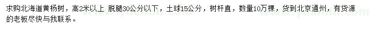 求购高2米以上北海道黄杨