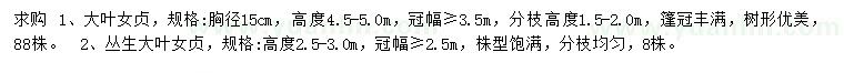 求购胸径15公分大叶女贞、高2.5-3米丛生大叶女贞