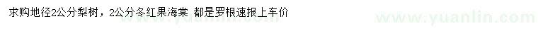 求购地径2公分梨树、冬红果海棠