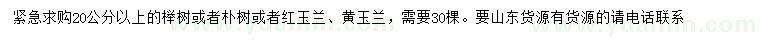 求购榉树、朴树、红玉兰等