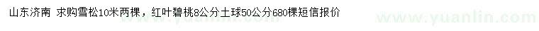 求购10米雪松、8公分红叶碧桃