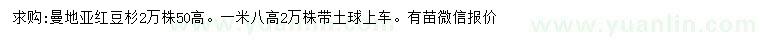 求购高50、180公分曼地亚红豆杉