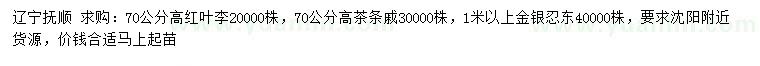 求购红叶李、茶条槭、金银忍冬