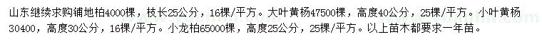 求购铺地柏、大叶黄杨、小叶黄杨等